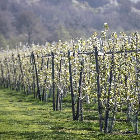 Hotel Merici Sittard