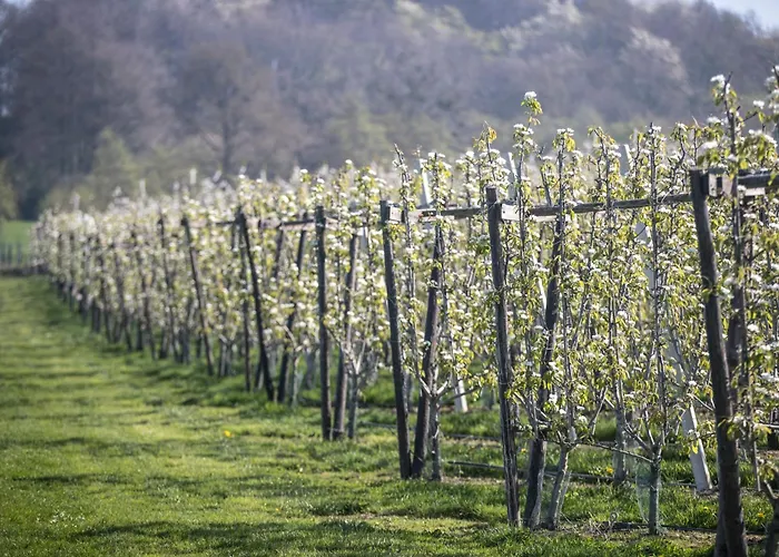 Hotel Merici Sittard